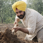 पठान माजरा की फिर से गर्दन दबोचेगी पटियाला पुलिस मिटटी खोदक MLA के खिलाफ अवैध खनन का मामला